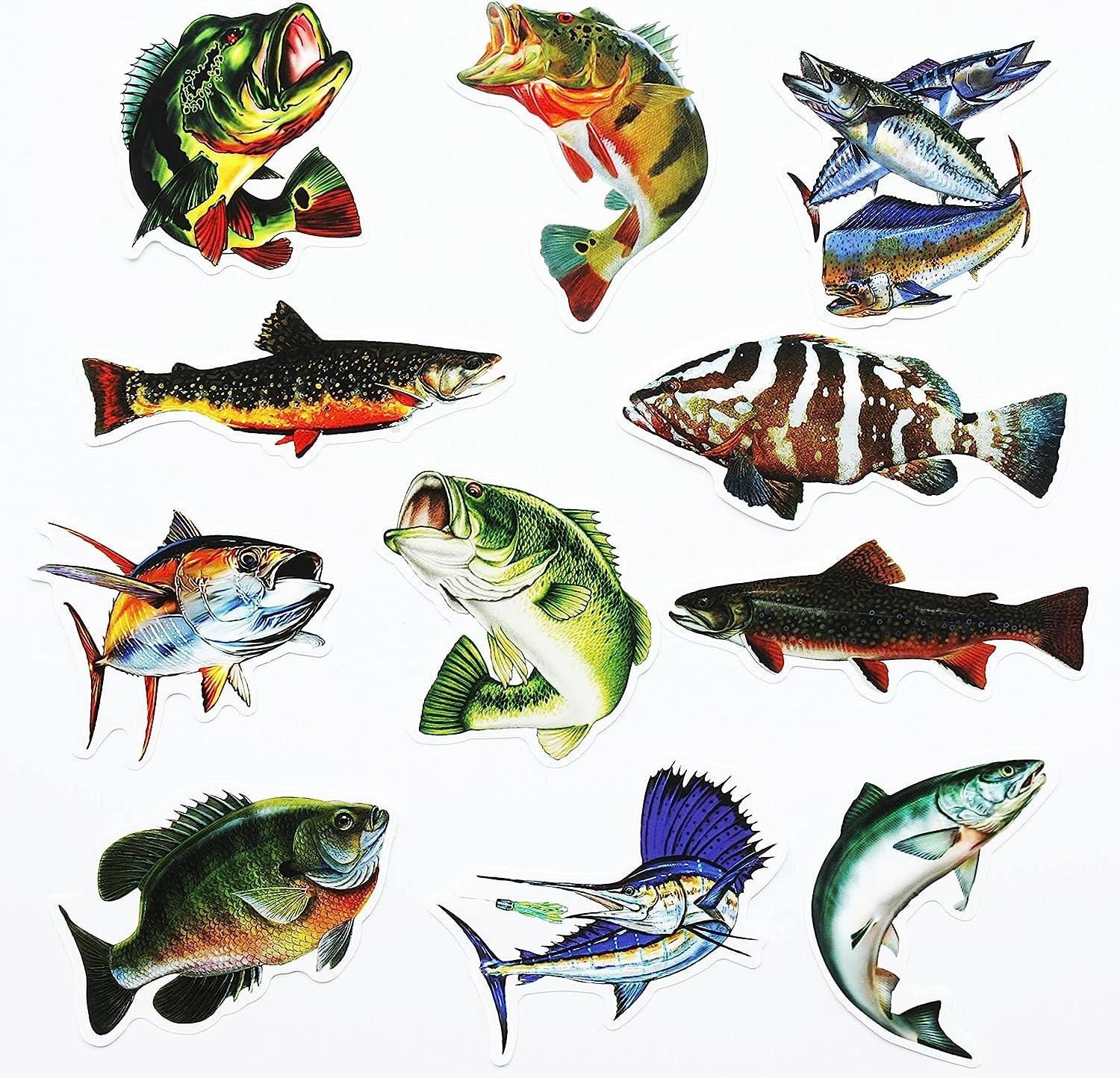 50Pcs Funny Fishing Rod Decals Grouper Bass Trout Sailfish Stickers Fishing  Decals for Trucks Window Boat Fishes