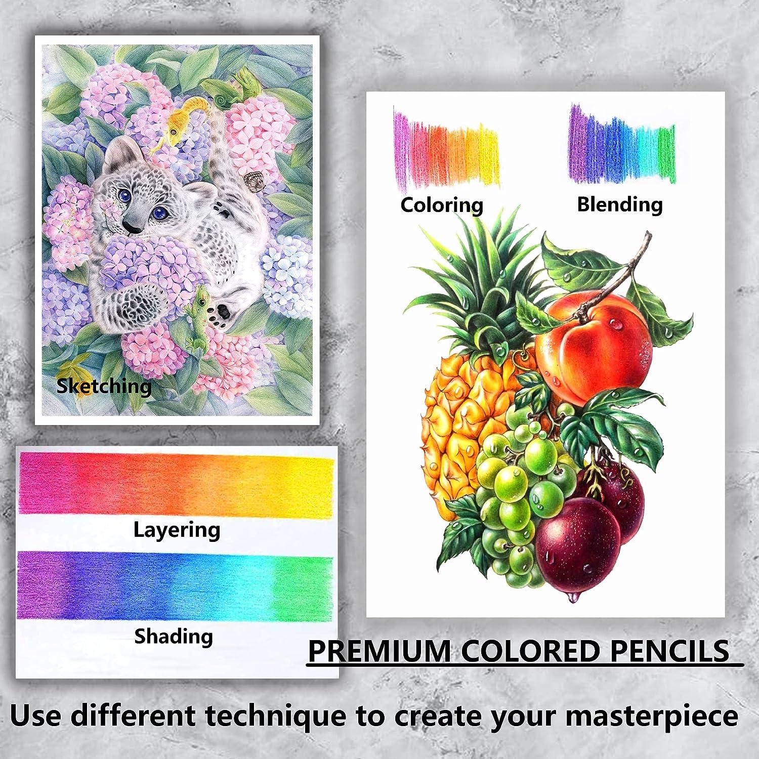 Soft Core Colored Pencils for Adult Coloring Books - Easy Blending and  Shading