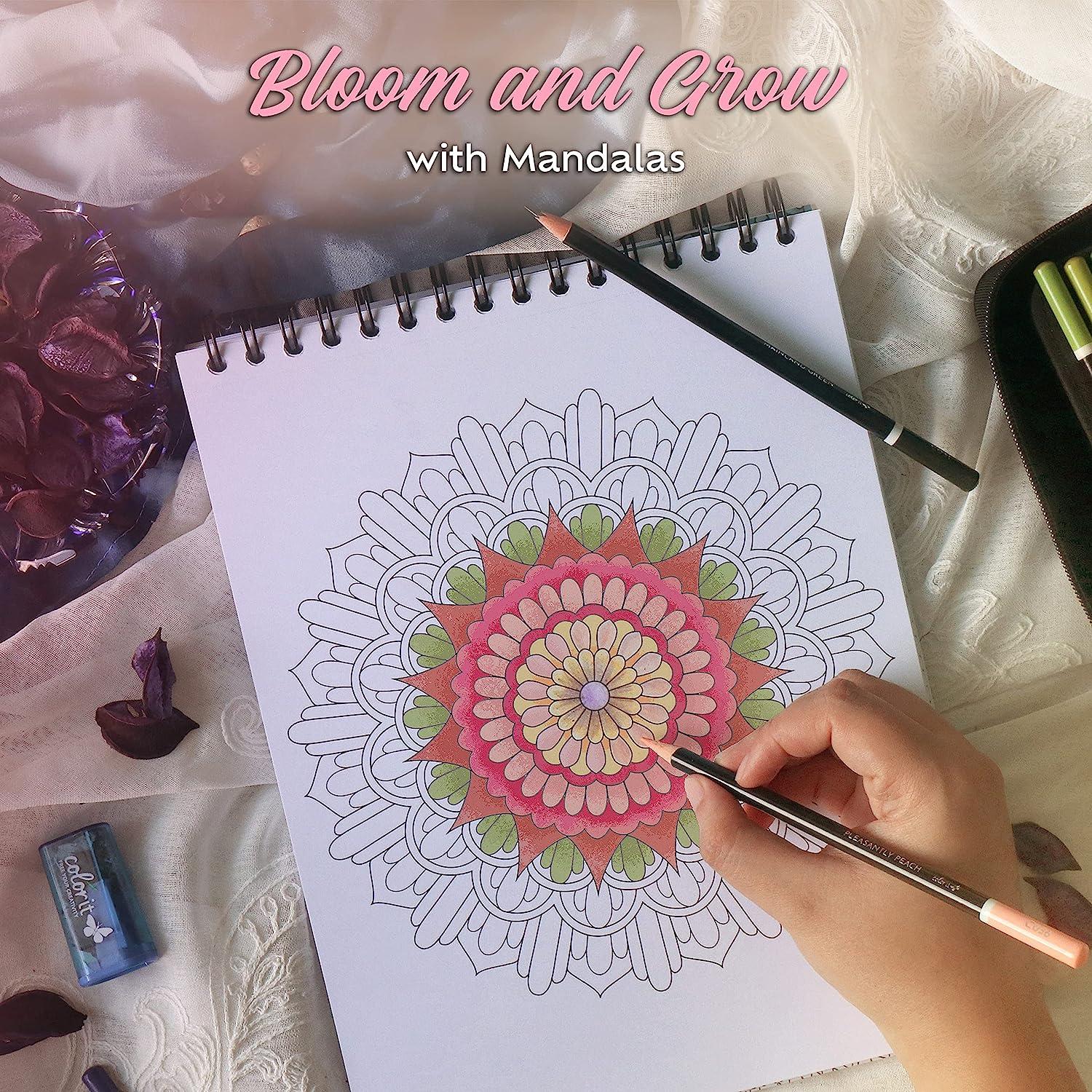 ColorIt Mandalas To Color, Volume III Coloring Book for Adults