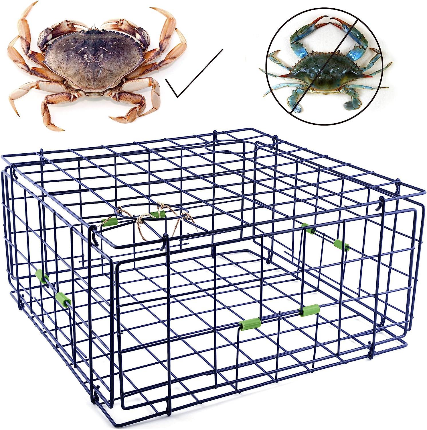 Buy Premium collapsible blue crab trap For Fishing 