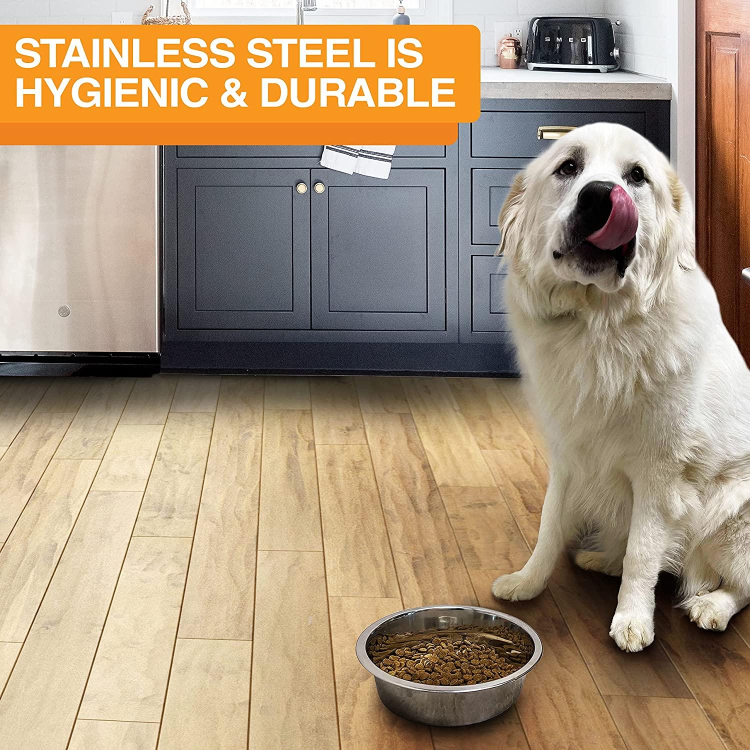 Neater Pet Brands Stainless Steel Dog and Cat Bowls - Extra Large Metal Food and Water Dish (12 Cup)