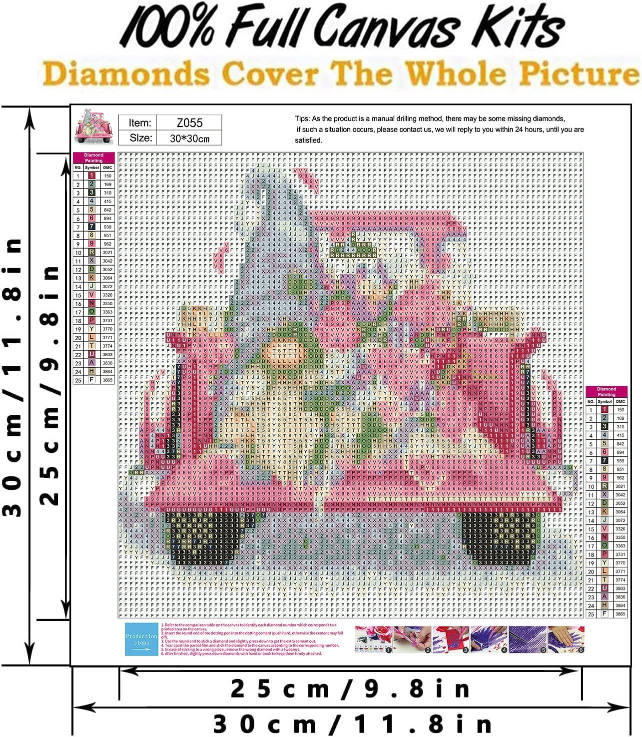 Gnome Diamond Painting Kits for Adults - 5D Diamond Art Kits for Adults  Kids Beginner, DIY Full Drill Diamond Dots Paintings with Diamonds Gem Art  and Crafts for Adults Home Wall Decor