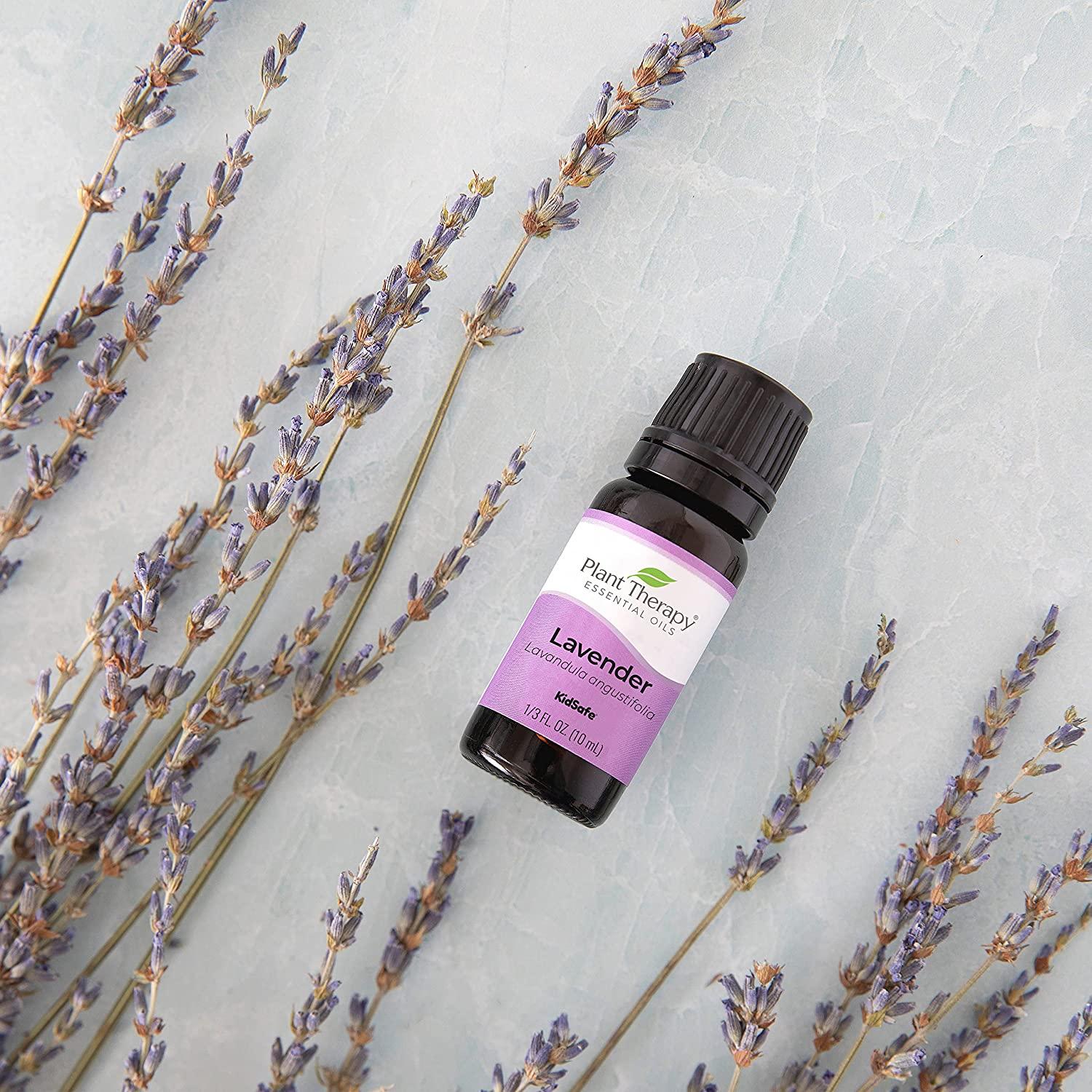 Plant Therapy Lavender Essential Oil 100% Pure, Undiluted, Therapeutic  Grade, for Aromatherapy Diffuser and Body Care Use, 10 mL (1/3 oz) 0.34 Fl  Oz (Pack of 1)