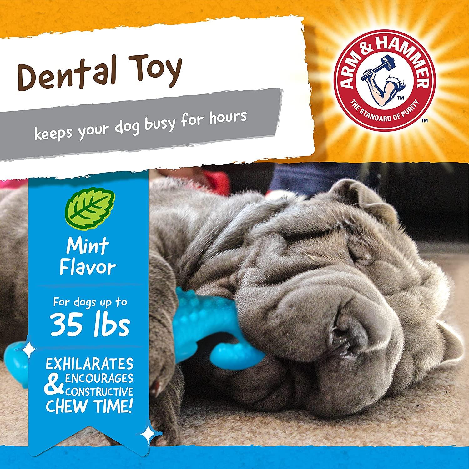 Arm & Hammer for Pets Nubbies Duality Bone Dental Dog Toy, Best Dog Chew Toy  for Moderate Chewers, Dog Dental Toy Helps Reduce Plaque & Tartar