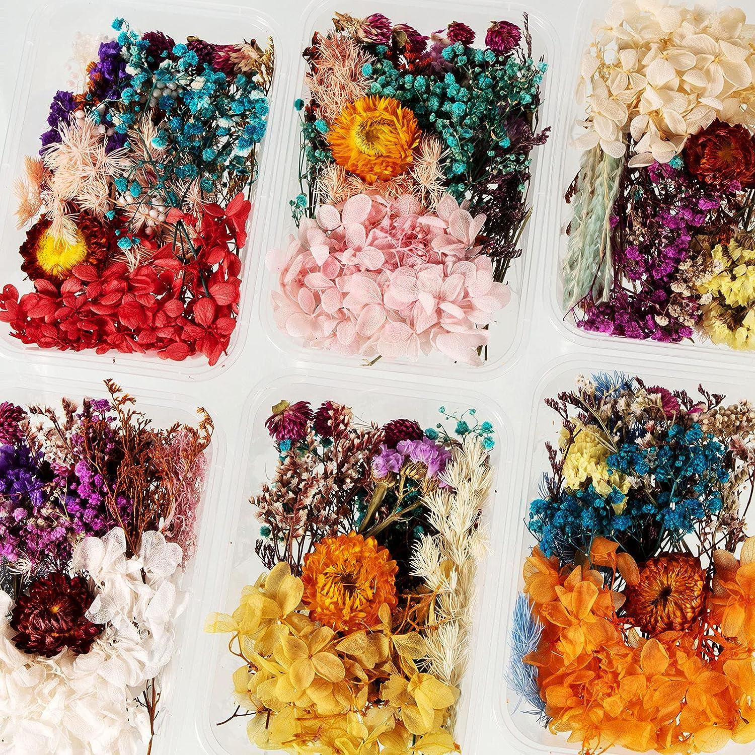 Real Dried Flowers 