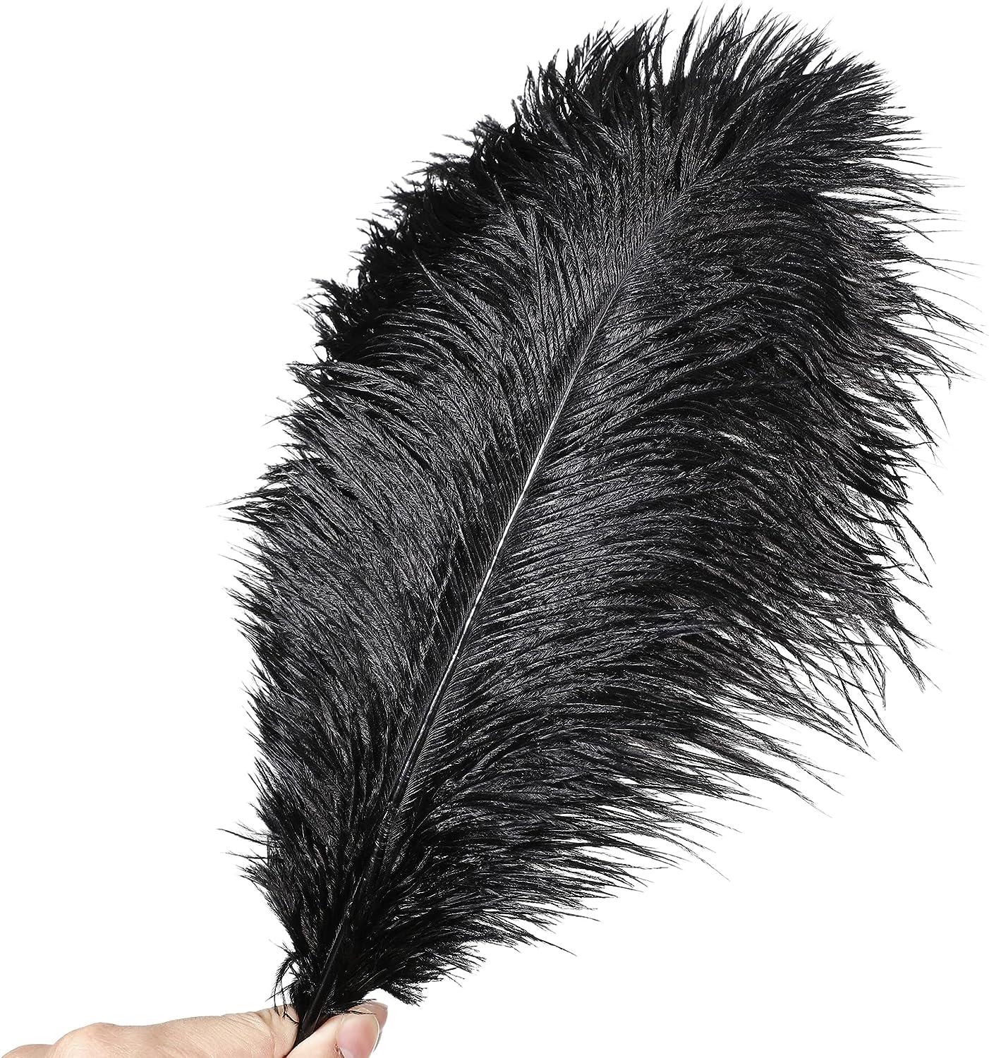 Black Ostrich Feathers Bulk - 20Pcs Making Kit 22 Inch Natural