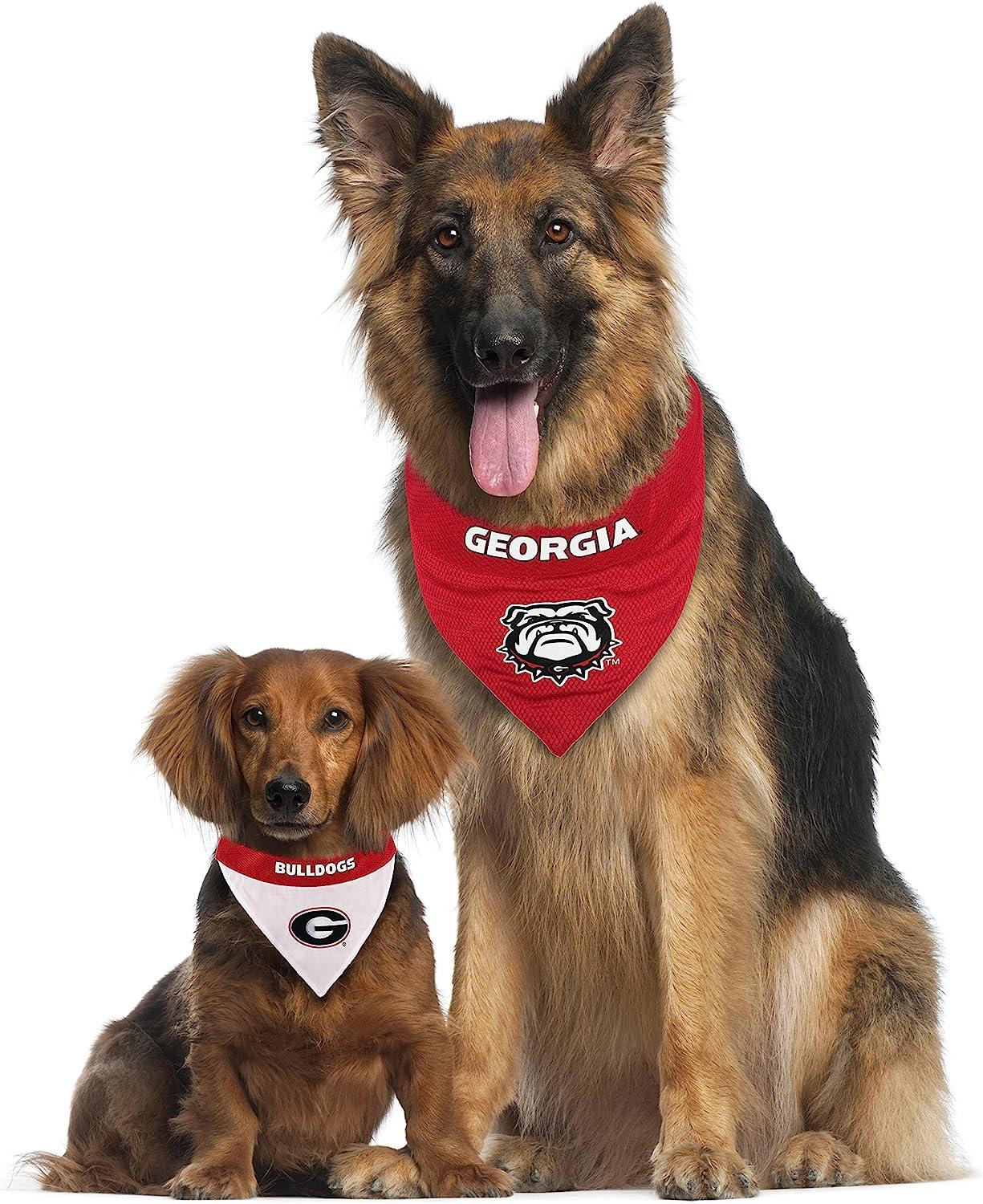  Pet Goods NCAA Louisville Cardinals Dog Collar, Small : Pet  Dresses : Sports & Outdoors