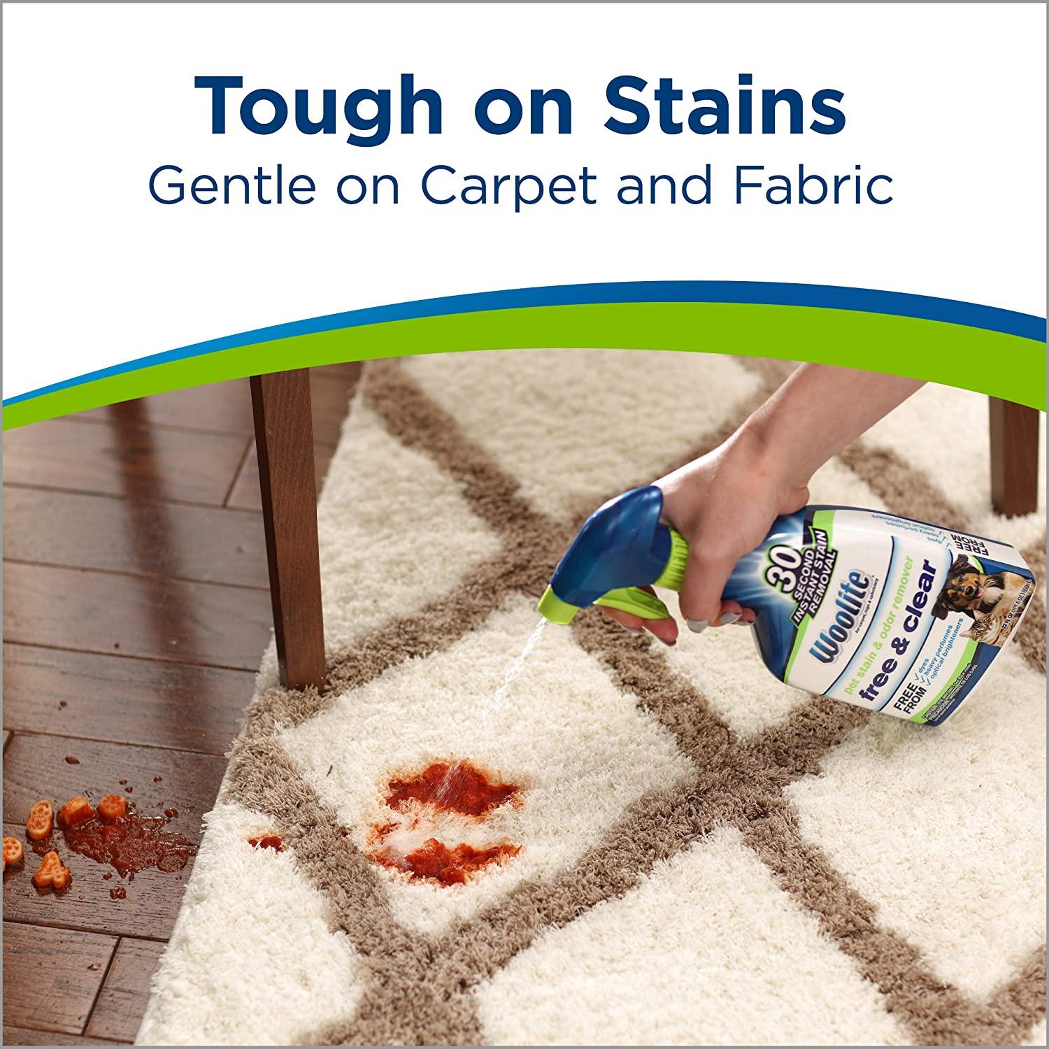 2-Pack) Woolite CARPET UPHOLSTERY Foam Cleaner Odor Stain Remover with  Brush