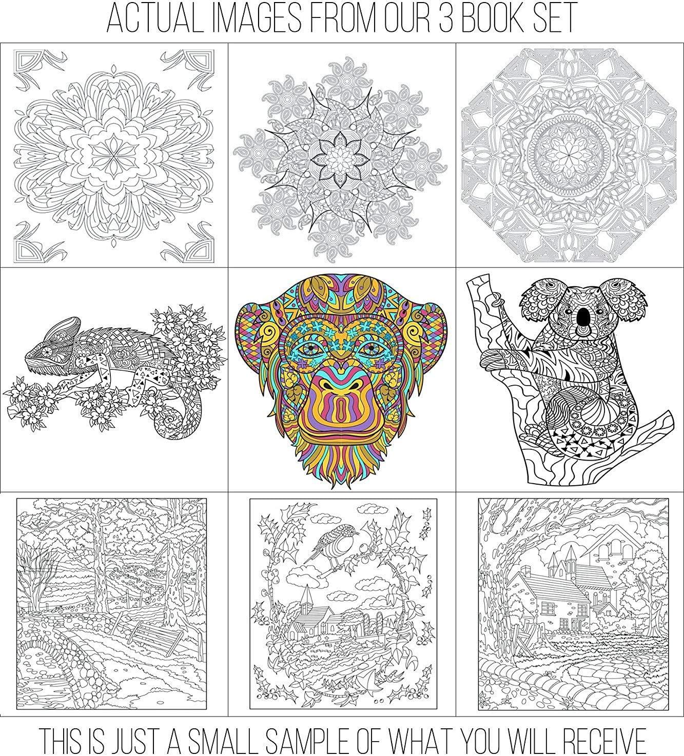  Adult Coloring Books Set.Three Books! Designs from The Sky,  Land & Sea. Coloring Books for Adults Relaxation : Creatively Calm Studios:  Arts, Crafts & Sewing