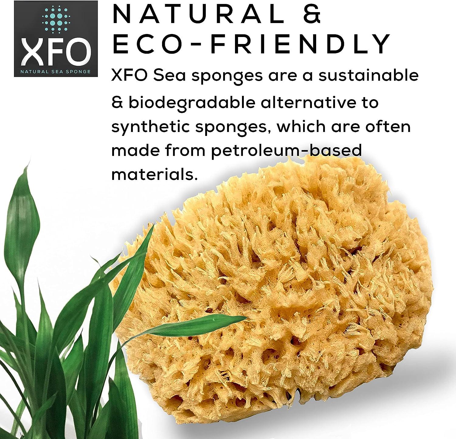 Individual Natural Sea Sponge – NALU KOA