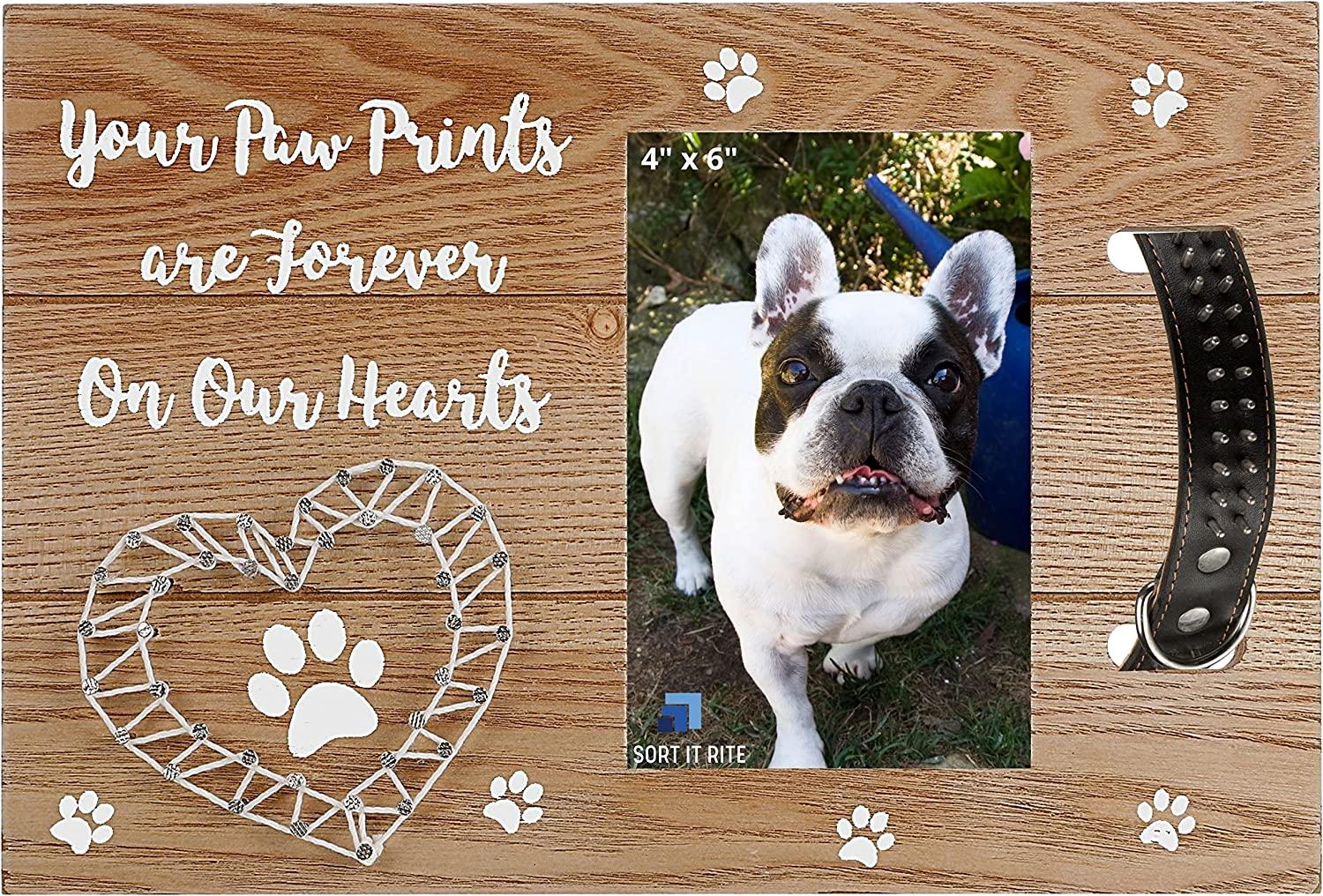 PAWCEPTIVE Dog Memorial Picture Frame with 5 Display Options- Dog Collar  Memorial Frame Gift - Cat or Dog Pet Loss Gift for a Grieving Friend - Pet