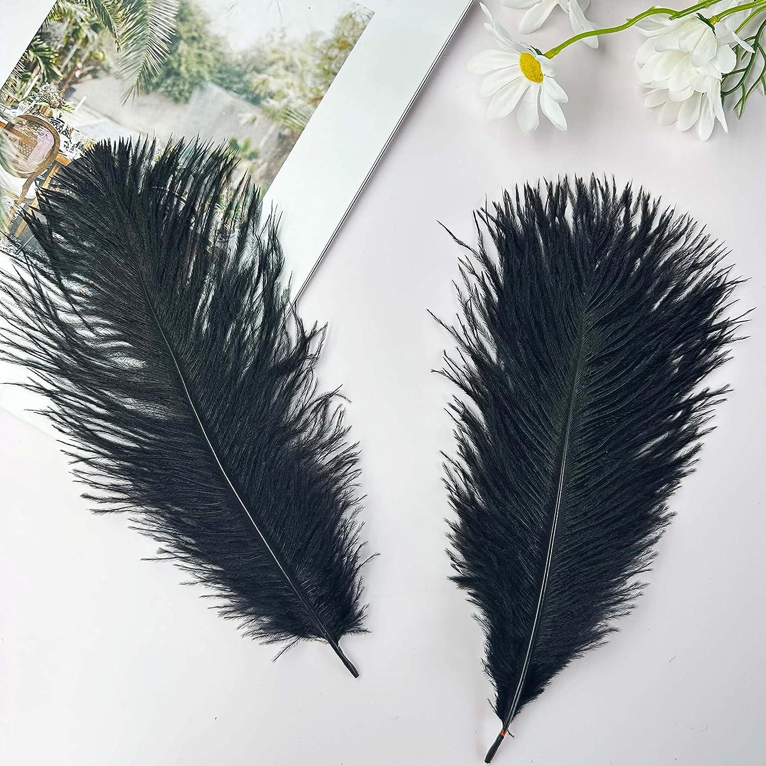 Piokio 20 pcs Natural Black Ostrich Feathers Plumes 8-10 inch(20