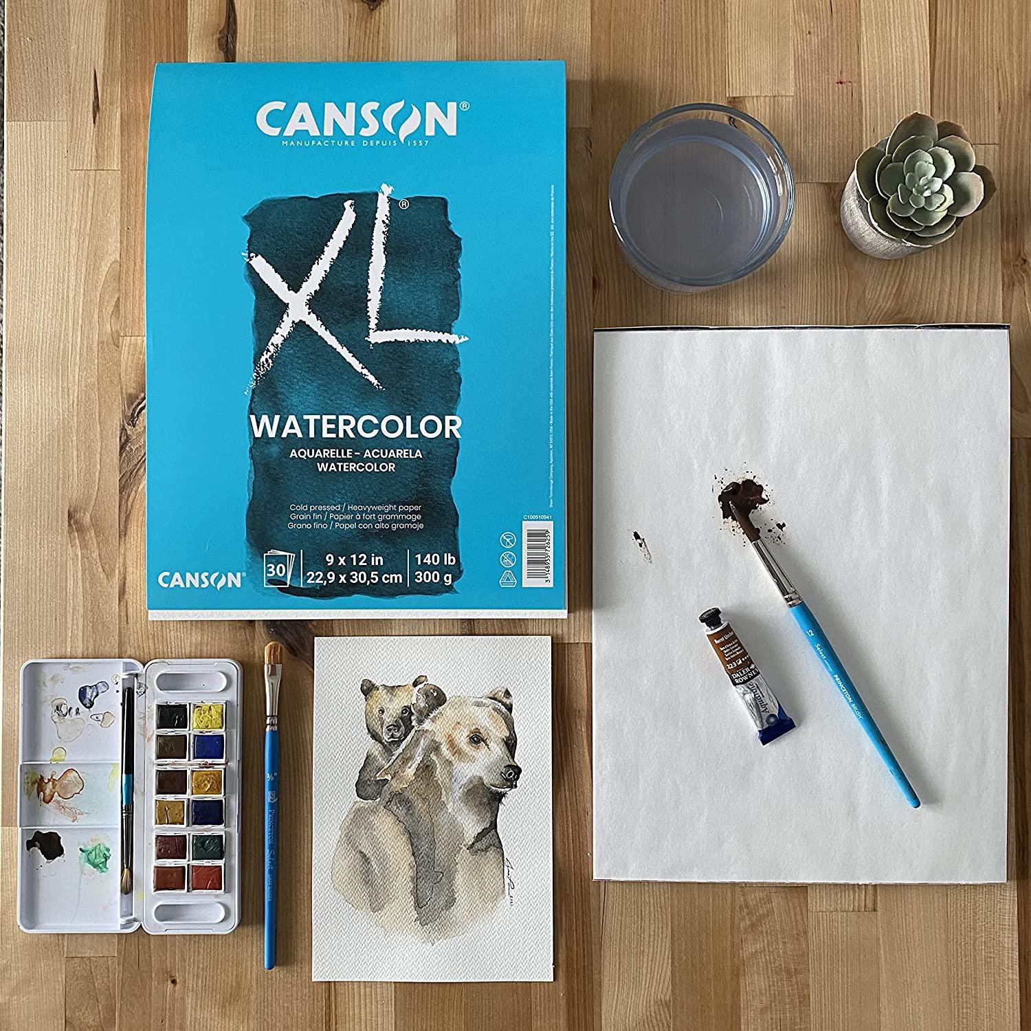 6 Pack: Canson® Artist Series Mixed Media Pad, 9 x 12 