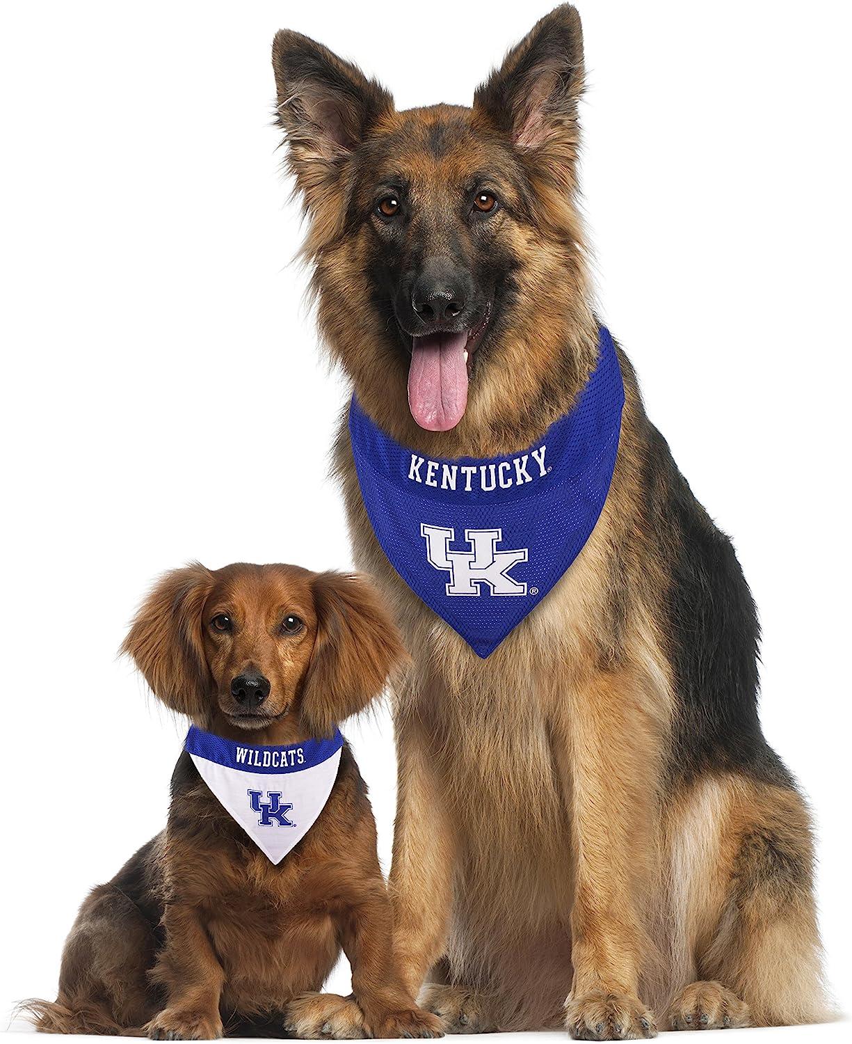 MLB Dog Bandanas & Accessories