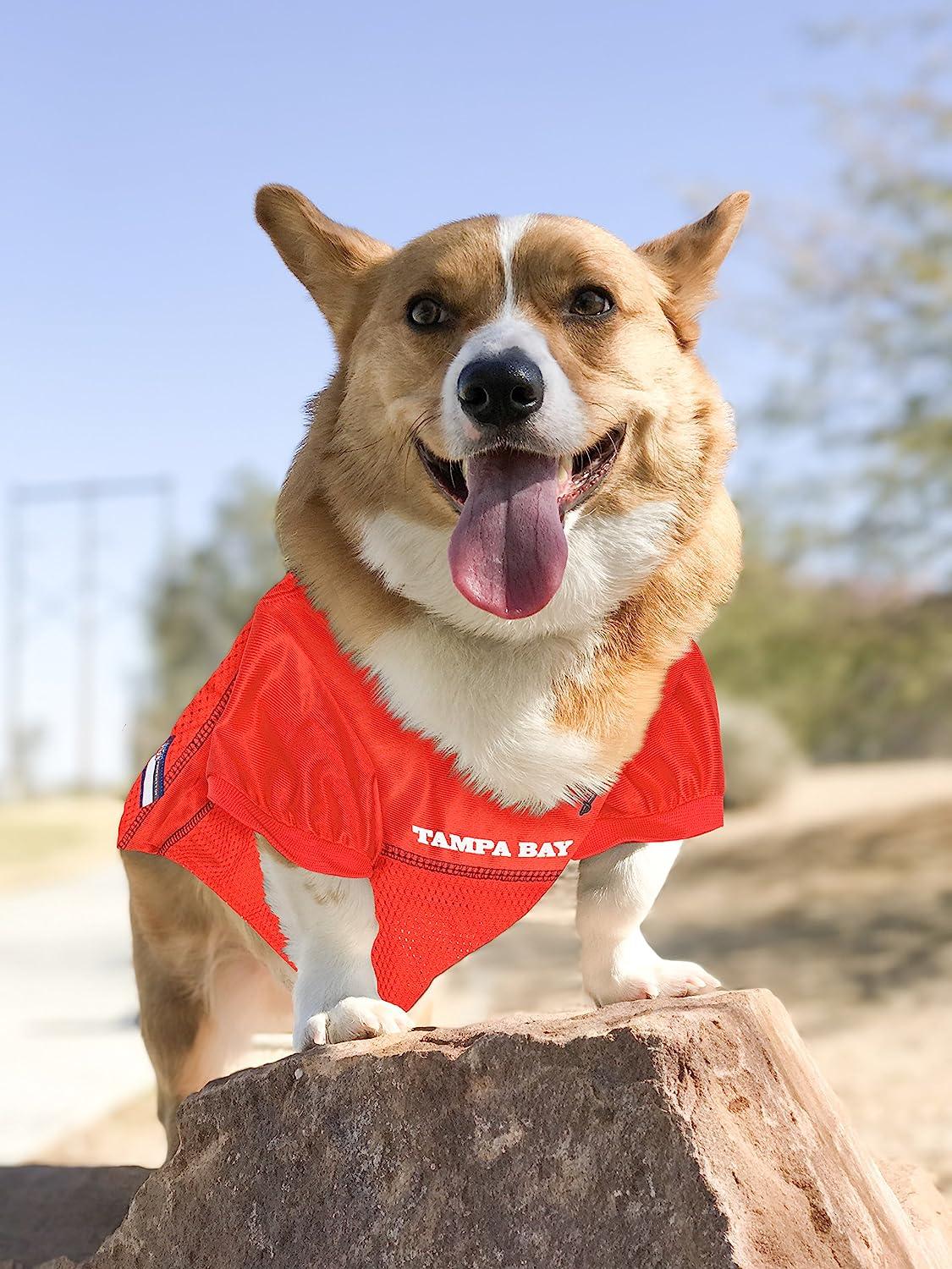 Tampa Bay Buccaneers Pet Stretch Jersey - Big Dog