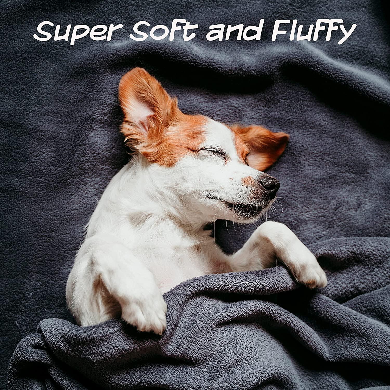 Waterproof Pet Blankets : plush dog blanket