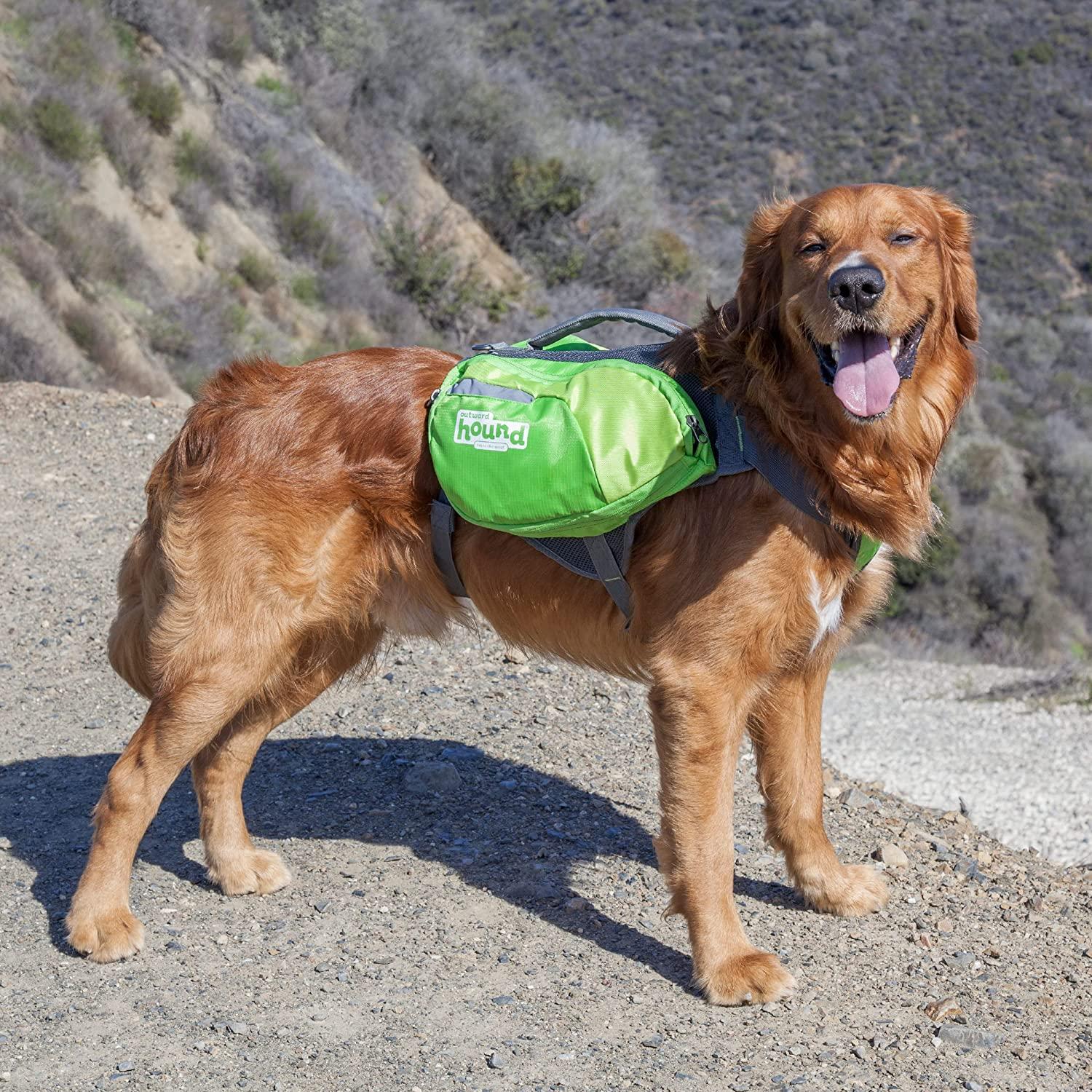 Outward Hound DayPak Green Dog Saddleback Backpack, Medium