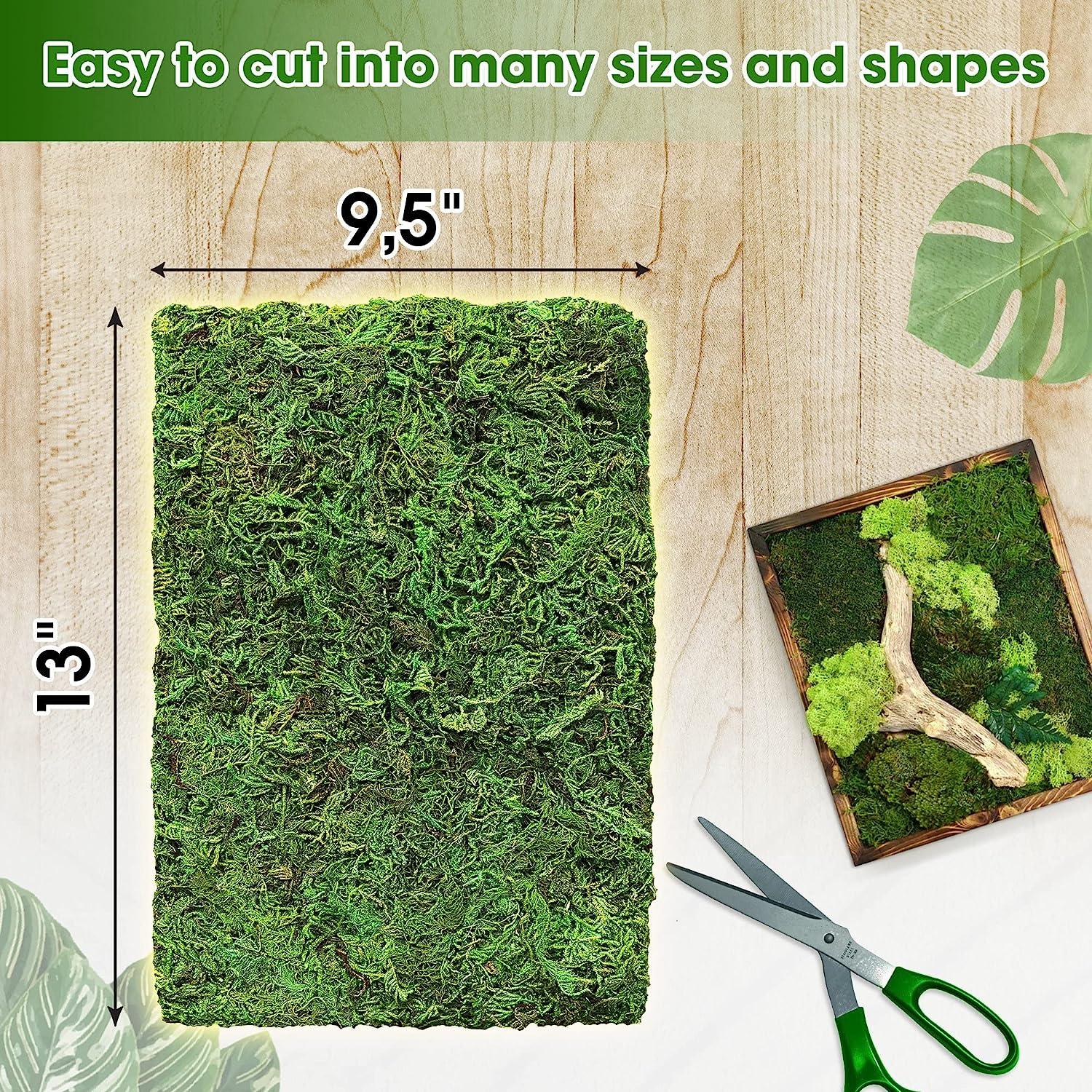 Green Moss for Crafts, Artificial Moss for Potted Plants, Decorative Moss  for