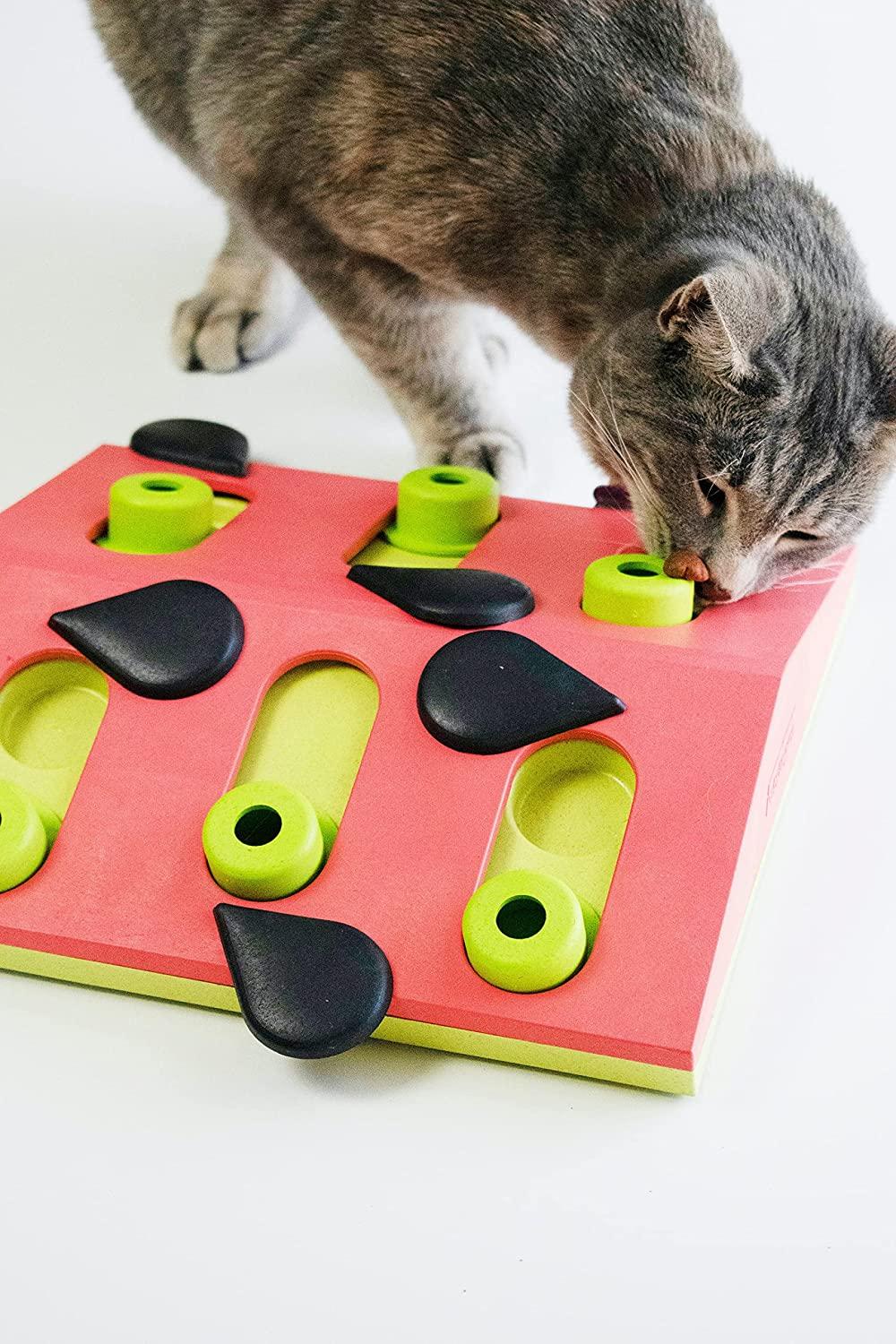 Nina Ottosson by Outward Hound Buggin' Out Puzzle & Play Cat Toy