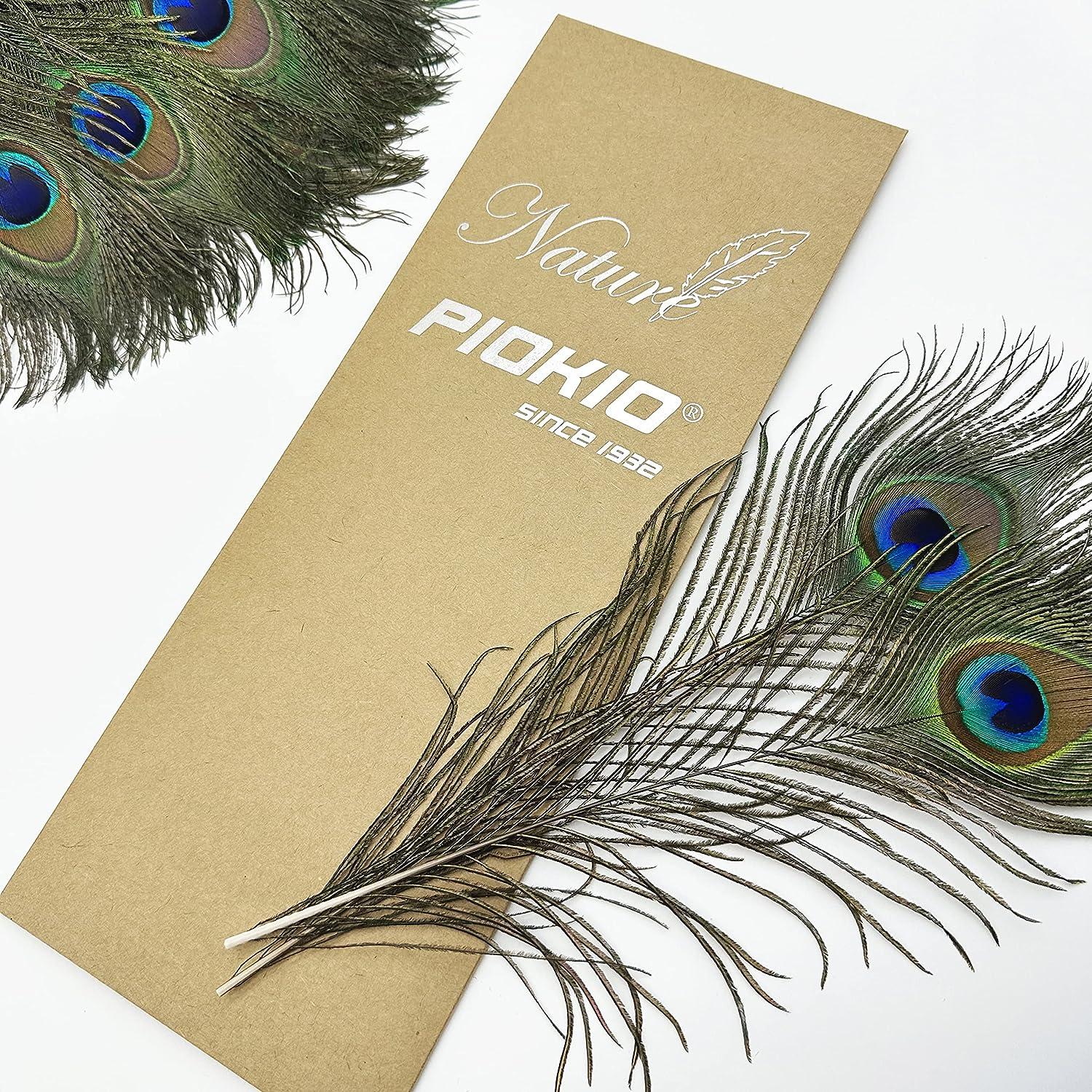 High Quality Peacock Feathers 25-30 CM Beautiful Natural Peacock Feather  Diy Jewelry Decorative Deco Fittings -  Canada