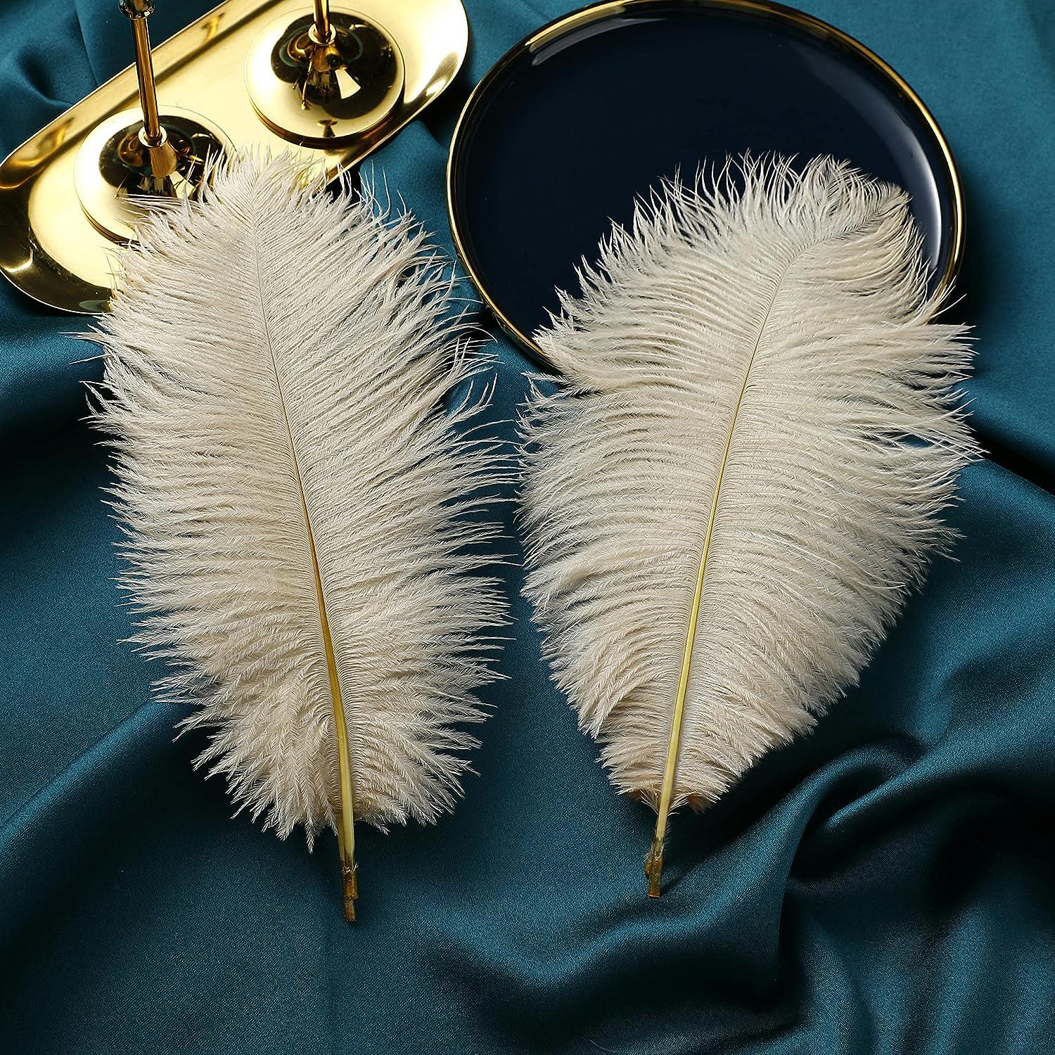 Table Centerpiece Accessories  Ostrich Feathers - Wholesale