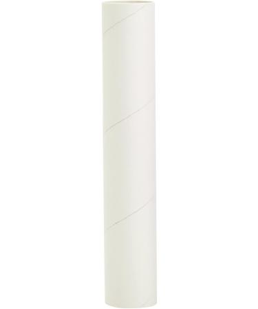 12 Pack White Cardboard Tubes for Crafts, Empty Paper Towels Rolls for DIY  Art Projects (1.7 x 10 Inches)
