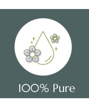 Plant Therapy Christmas Tree Holiday Essential Oil Blend 100% Pure,  Undiluted, Natural, Therapeutic Grade 10 mL (1/3 oz)