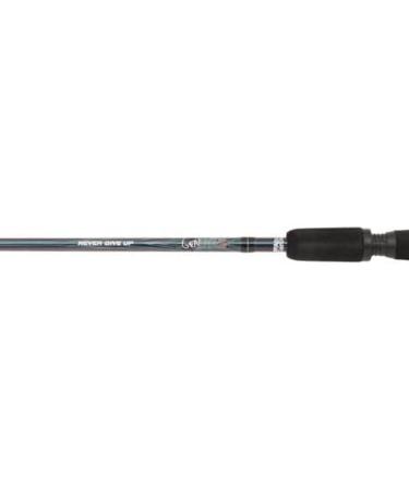 Abu Garcia Revolution Spinning Rod and Reel Combo Set - For Freshwater and  Saltwater Predator Fishing 2.13 m