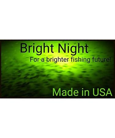 Bright Night Fishing Underwater Fishing Light 15,000 Lumen 50 ft Cord  Waterproof AC Green LED Submersible Dock Boat Light Fish Attractor