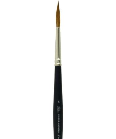 Winsor & Newton Professional Water Color Brush Round 5