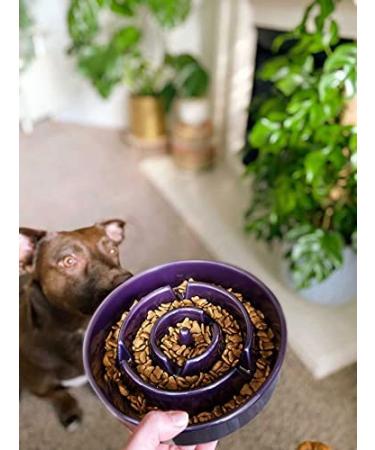 LE TAUCI Dog Bowls Slow Feeder Ceramic, 1.5 Cups Slow Feeding Dog Bowl  Small Medium Breed, Puppy Slow Feeder Bowl for Fast Eater, Dog Dishes to  Slow
