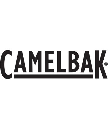 CamelBak 32 oz Clear Carry Cap Bottle w/Tritan Renew by CamelBak at Fleet  Farm