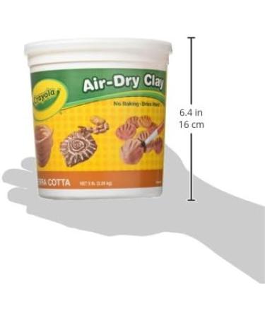 Crayola Air Dry Clay Bucket, No Bake Clay for Kids, Modeling Clay  Alternative, 5 lb Resealable Bucket, White