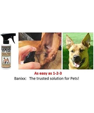 does banixx help dogs ear infections