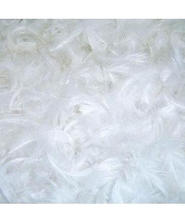 Dream Solutions USA Brand Bulk Goose Down Pillow Stuffing - Filling  Feathers - 10/90 White (1/2 LB) - Fill Stuffing Comforters, Pillows,  Jackets and More - Ultra-Plush Hungarian Softness 