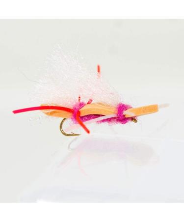 Outdoor Planet Favorite Fly Fishing Flies Assortment, Dry, Wet, Nymphs,  Streamers, Wooly Buggers, Hopper, Caddis