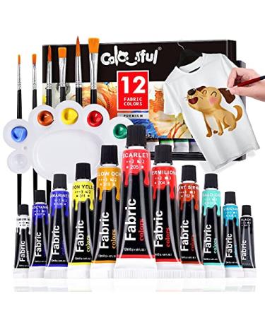 COLORFUL Fabric Paint Set for Clothes with 6 Brushes  1 Palette  12 Colors - Permanent Textile Paint Puffy Paint Kit for Shoes  Canvas - Non-Toxic Slick Painting Set for Adults  Beginner & Artists 12 Tubes Color