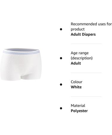 Carer Disposable Pants 10 Pcs Women's Net Knickers Mesh Pants for  Maternity/C-Section Recovery/Incontinence/Travel