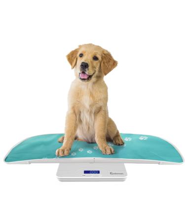 Adamson A25 Scales for Body Weight - Up to 400 LB, Anti-Skid Rubber  Surface, Extra Large Numbers - High Precision Bathroom Scale Analog -  Durable with 20-Year Warranty - New 2022