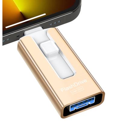Sunany USB Flash Drive 256 GB Compatible with Phone and Pad, High Speed External Thumb Drives USB Memory Storage Photo Stick for Save More Photos and Videos (Gold) 256GB Gold