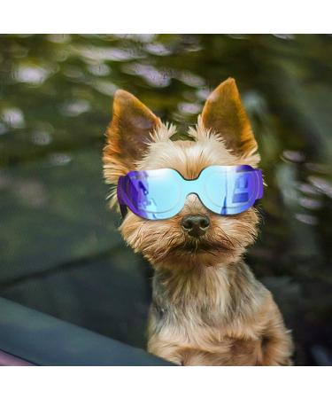 ENJOYING Small Dog Goggles Anti-UV Doggy Sunglasses Soft Pet Motorcycle  Eyewear Fog-Proof Windproof Shatterproof Dog Glasses for Small-Medium Dogs,  Blue Blue Small