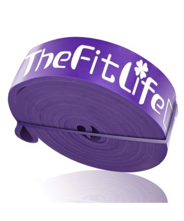 TheFitLife Exercise Resistance Bands with Handles - 5 Fitness Workout Bands  Stackable up to 110/150 lbs, Training Tubes with Large Handles, Ankle  Straps, Door Anchor Attachment, Carry Bag (110 LBS) price in