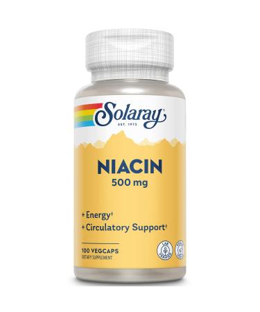 Solaray Niacin 500 mg, Vitamin B3 | Skin Health, Cardiovascular, Nervous System & Circulation Support | 100ct 100 Count (Pack of 1)