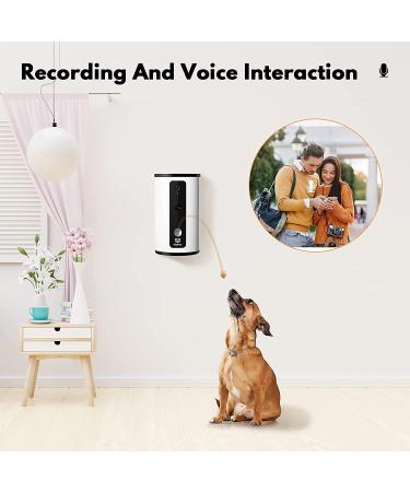 WOPET Smart Pet Camera and Dog Treat Dispenser, Boxer Puppy Product Testing  