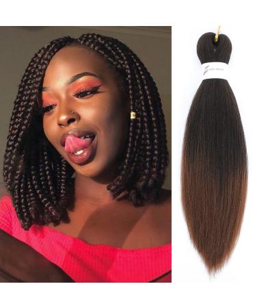9 Packs Passion Twist Crochet Hair 12 Inch Pre-Twisted Crochet Hair Pre  Looped Crochet Hair for Black Women Crochet Passion Twist Hair Synthetic Hair  Extensions T27 12 Inch (Pack of 9) T27