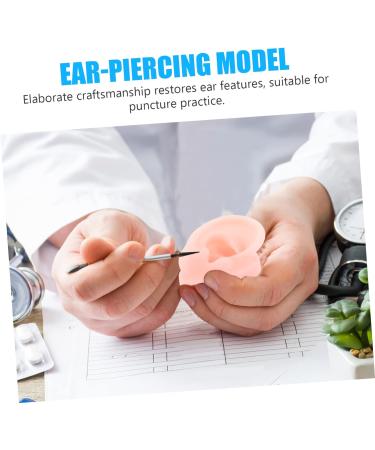 Silicone Tongue Section Model Piercing Training Jewellery Display  Acupuncture 