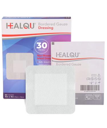 Healqu Disposable Underpads - Incontinence Bed Chux Pads for Adults, Kids,  Elderly, and Pets - Fluid and Urine Bed Protection - Large, Super Absorbent