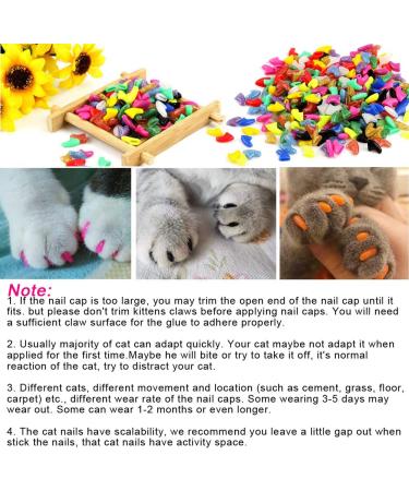 Amazon.com : balacoo 30 pcs Dog Nail Glue cat Nail caps Adhesive glues for cat  Nail Defense Guard Glue Special pet Nail Glue cat Quick Drying Nail Glue  Kitten Nail cat Nail