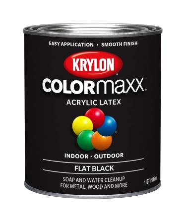 Krylon K02510777 Spray Paint, 12 Fl Oz (Pack of 1), No Hunting Purple, 12  Ounce