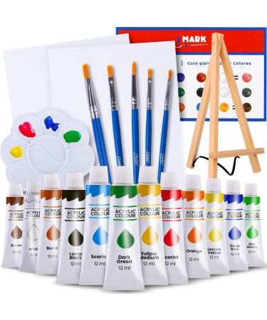Rock Painting Kit - 42 Piece Rock Paint Bundle- Rocks, Acrylic Paint  Markers, Glow in the Dark, Metallic and Acrylic Paints, Transfer Stickers,  Gems